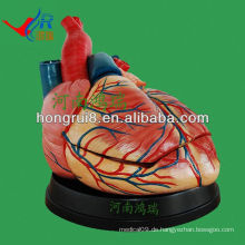 ISO neue Art Jumbo Herz Anatomie Modell, Herz Modell